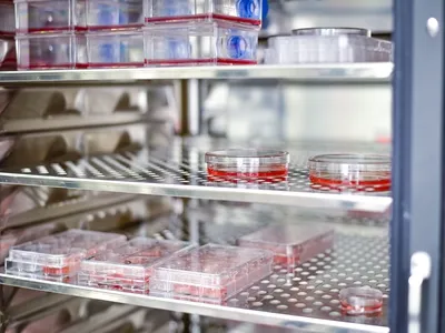 Biotechnologie